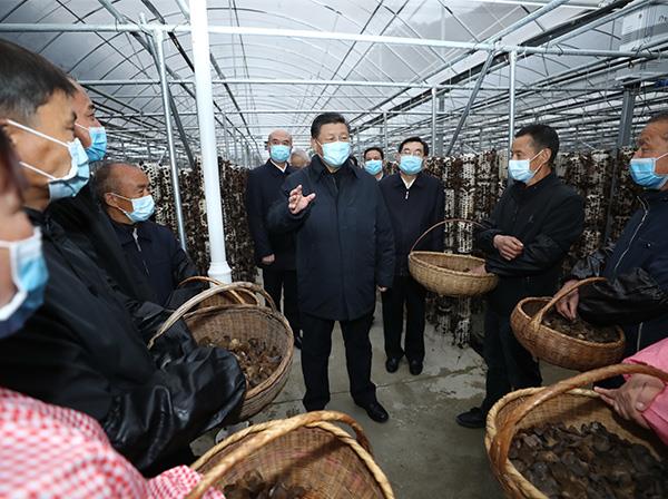 習近平總書記考察中國中鐵援建的金米村智能連棟木耳大棚