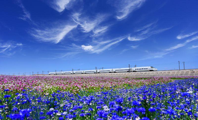 蘭新高鐵